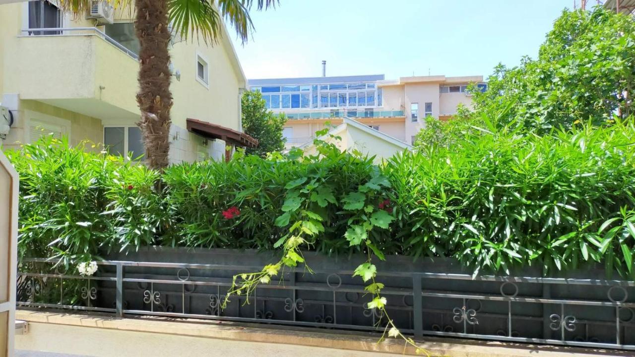 Guesthouse Tri Palme Bečići エクステリア 写真